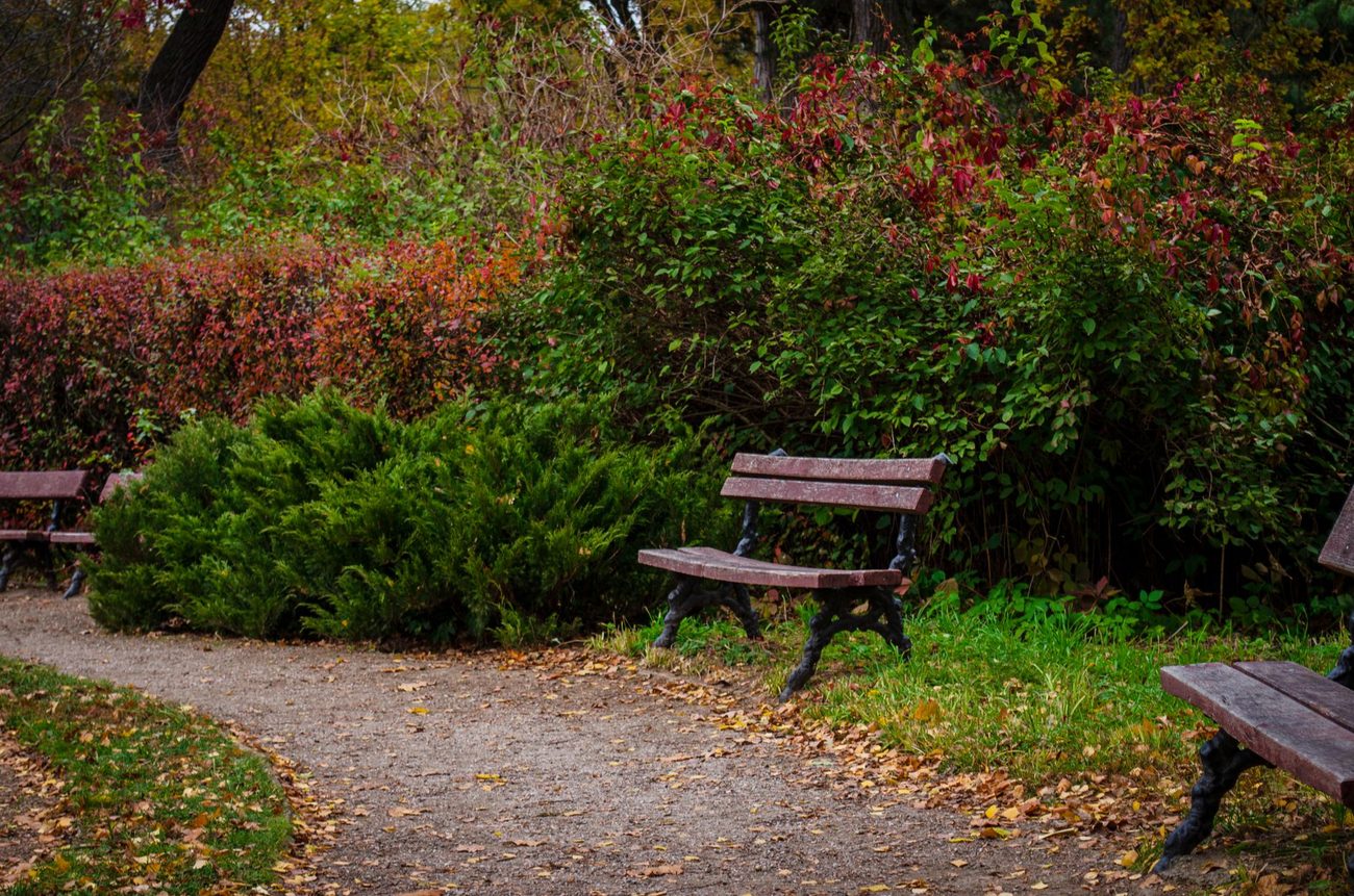 A garden bench from reclaimed timber
