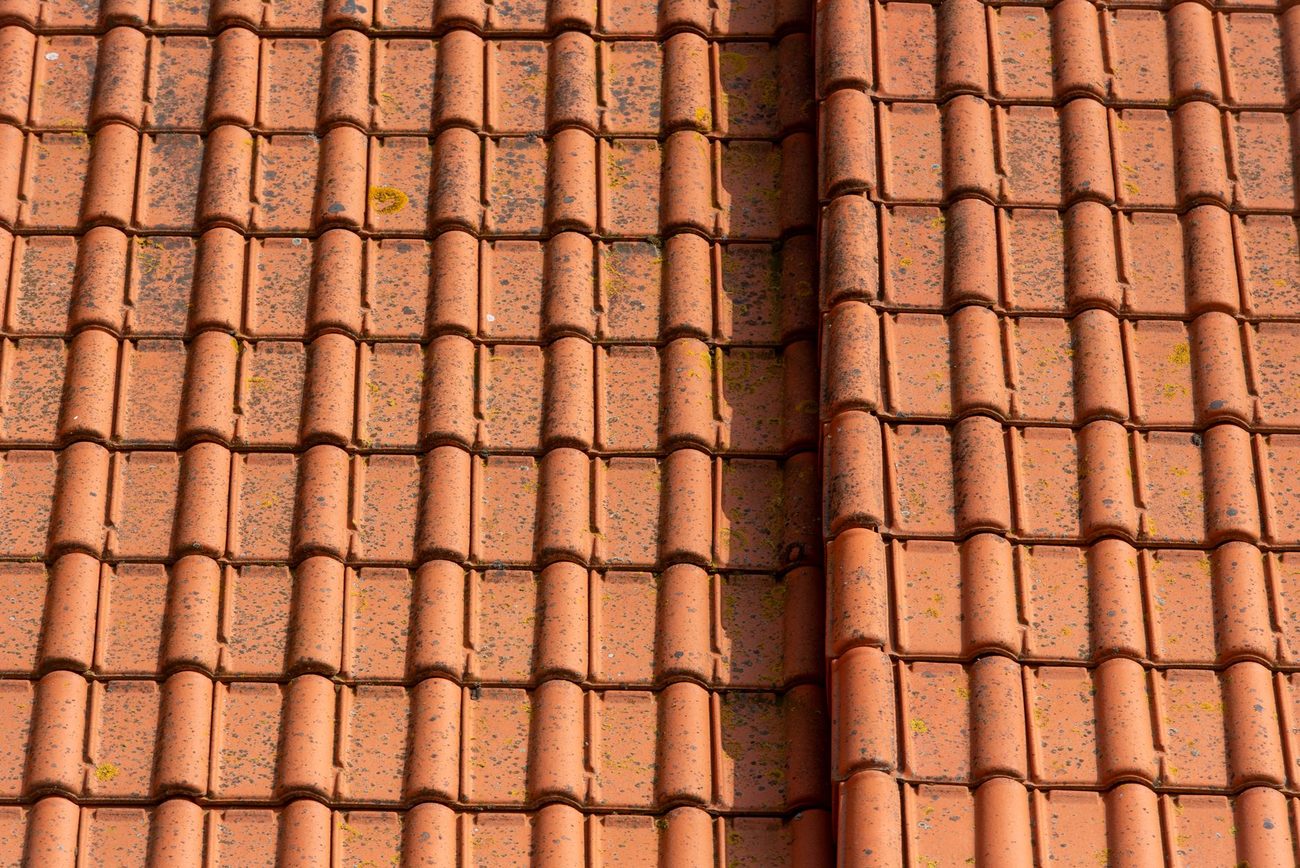 Slipped roof tiles and the £260 roofer visit from our survey list
