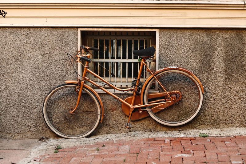 Contents insurance and two bikes in the shed: reading the small print