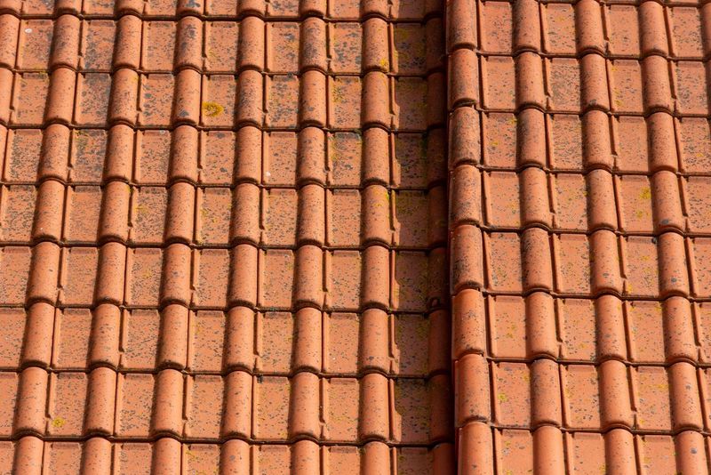 Slipped roof tiles and the £260 roofer visit from our survey list