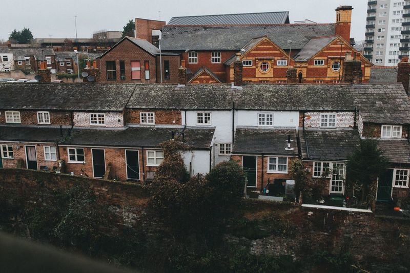 Why Walkley: steep hills, old terraces and a library we already loved